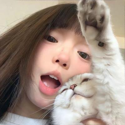 派对女孩升天记封面